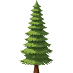 Pin