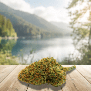 Découvrez la DC10 Amnesia US 20%, une fleur premium inspirée de la célèbre génétique Amnesia reconnue pour son profil aromatique intense et citronné. Cette variété se distingue par ses notes puissantes d’agrumes, de citron frais et de pin, offrant une signature olfactive vive et rafraîchissante. Avec une concentration de 20%, elle s’inscrit dans la nouvelle génération de fleurs enrichies, alliant qualité de culture, richesse en terpènes et esthétique haut de gamme. Ses têtes compactes, résineuses et soigneusement manucurées séduisent les amateurs de profils aromatiques dynamiques et expressifs.