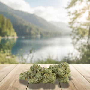 Découvrez la DC10 Gelato 41 US 20%, une fleur premium inspirée de l’une des génétiques américaines les plus prisées pour son profil aromatique gourmand et sophistiqué. Cette variété se distingue par ses notes sucrées, crémeuses et légèrement fruitées, rappelant un dessert glacé aux accents vanillés et pâtissiers. Avec une concentration de 20%, elle s’inscrit dans la nouvelle génération de fleurs enrichies, combinant qualité de culture, richesse en terpènes et esthétique haut de gamme. Ses têtes compactes, résineuses et soigneusement manucurées séduisent les amateurs de saveurs dessert et de génétiques US premium.