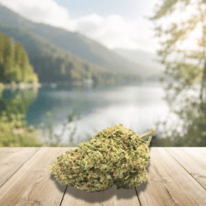 Découvrez la DC10 Super Silver Haze 20%, une fleur premium inspirée d’une génétique légendaire reconnue pour son profil aromatique vif et complexe. Cette variété se distingue par ses notes puissantes d’agrumes, de citron, d’encens et de pin, offrant une signature olfactive fraîche et intense. Avec une concentration de 20%, elle s’inscrit dans la nouvelle génération de fleurs enrichies, alliant qualité de culture, richesse en terpènes et esthétique haut de gamme. Ses têtes compactes, résineuses et soigneusement manucurées séduisent les amateurs de profils aromatiques dynamiques et raffinés.
