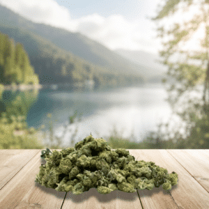 Découvrez les Small Buds Skywalker 12% CBD Bio, une sélection de petites fleurs de chanvre cultivées en Rhône-Alpes selon des méthodes respectueuses de l'environnement. Inspirée de la célèbre génétique Skywalker, cette variété séduit par ses arômes équilibrés mêlant notes boisées, agrumes et touches légèrement épicées. Riches en cannabidiol naturel avec un taux de 12% de CBD, ces petites têtes offrent un excellent rapport qualité-prix tout en conservant les qualités aromatiques des fleurs premium. Une référence idéale pour les amateurs de CBD français cultivé localement.