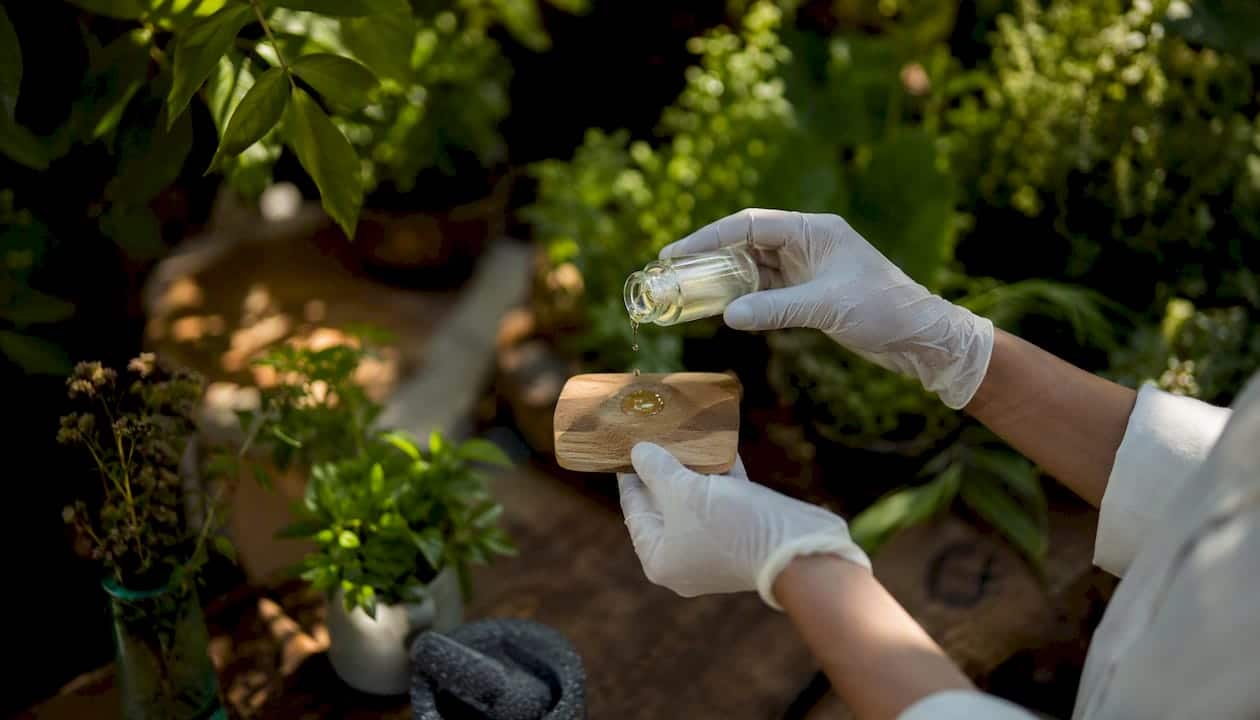 Des mains gantées manipulent un flacon d’extrait de CBD.