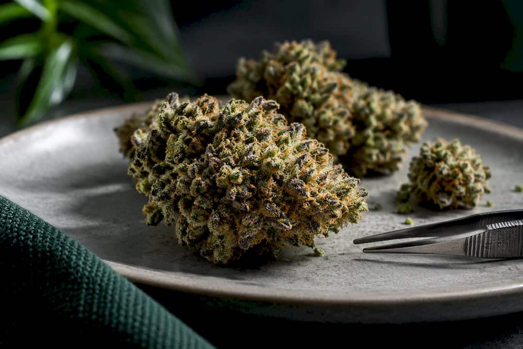 Fleurs de CBD recouvertes de trichomes en gros plan