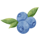 berries