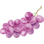 grapes