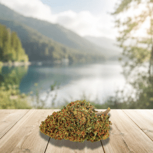 Fleurs THCA Lemon Pop Indoor 20%