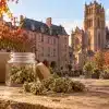 CBD Rodez : fleurs de chanvre et colis devant une évocation du centre historique et de la cathédrale Notre-Dame.